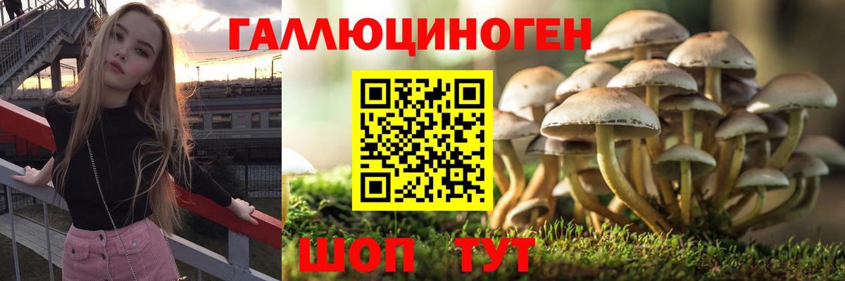 Псилоцибиновые грибы мицелий  Вход с VPN  Сергиев Посад  Псилоцибиновые грибы GOLDEN TEACHER 