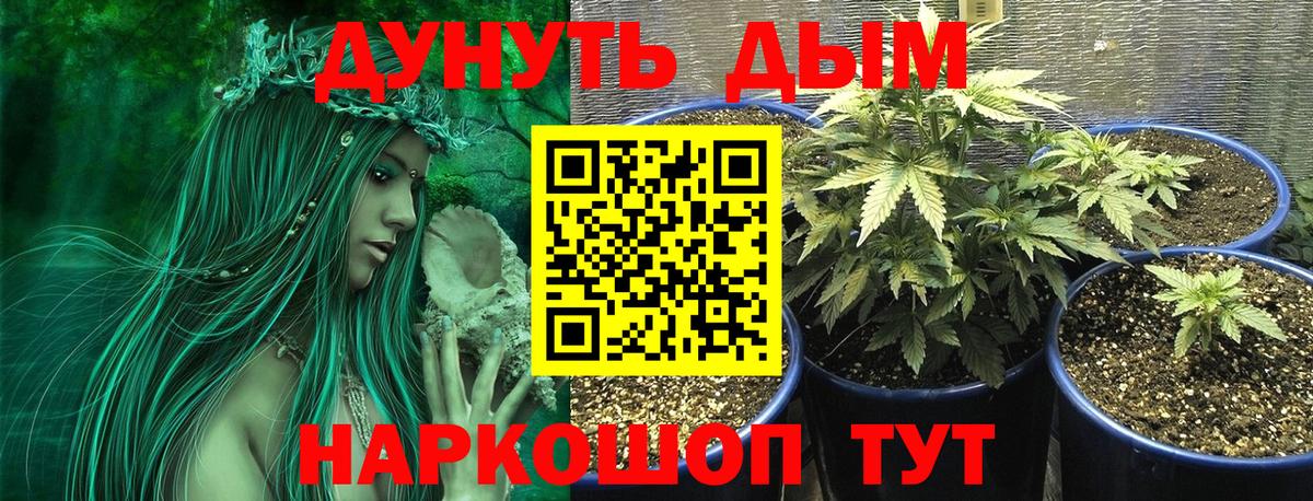 Марихуана индика  Конопля план  Сергиев Посад  Вход с VPN  Конопля планчик 